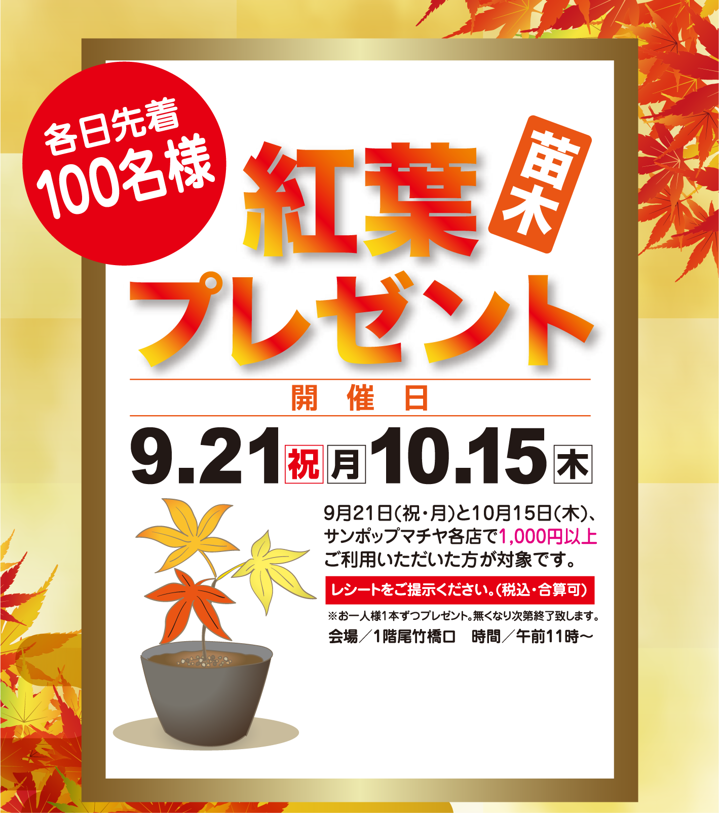 紅葉の苗木プレゼントのお知らせ サンポップマチヤ
